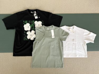 【UNIQLO】今度はTシャツばかり買う