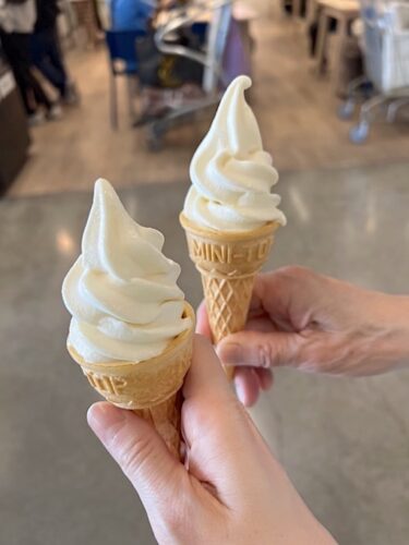 2025GWもゆるりと・食べ物写真だらけ