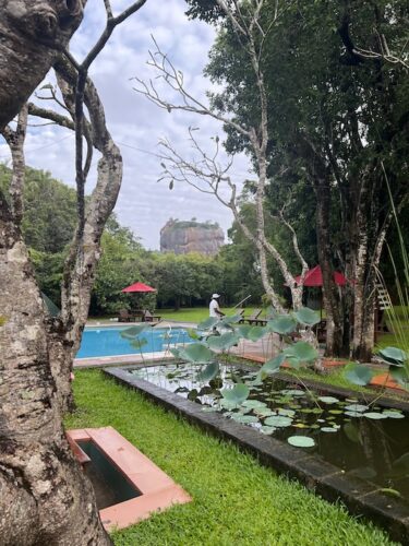 【スリランカ】アーユルヴェーダ・1人旅《２》