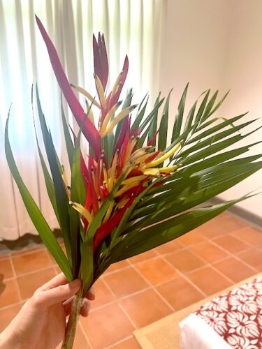 【スリランカ】アーユルヴェーダ・1人旅《５》