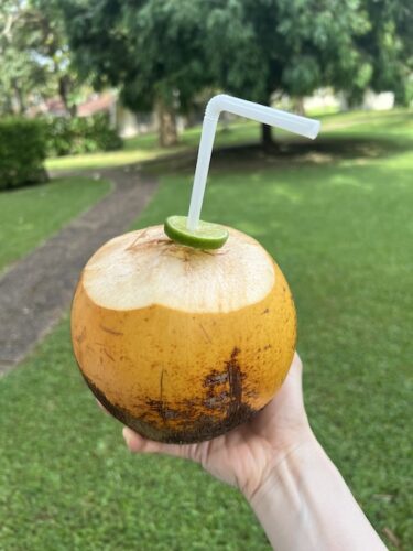 【スリランカ】アーユルヴェーダ・1人旅《７》