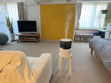 【乾燥の季節】加湿器購入 STEM 500H cado